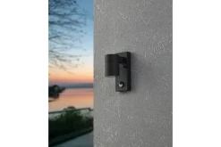 Vägglampa Utebelysning Eglo Riga 5 med Sensor Svart Klar