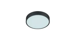 Waco LED Plafond 30 cm mattsvart